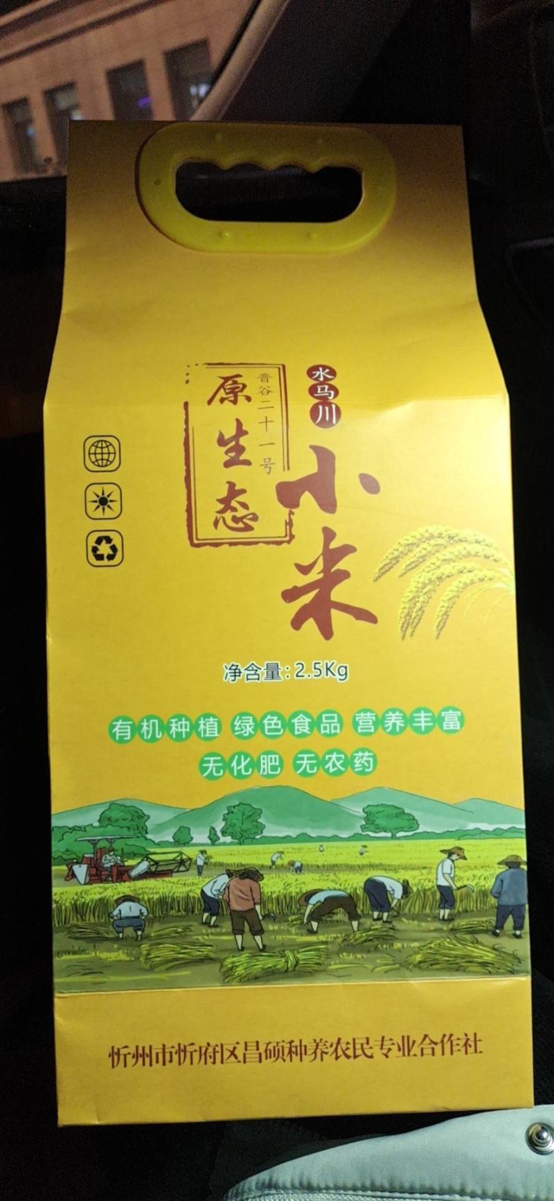 山西忻州精选晋谷21号新小米