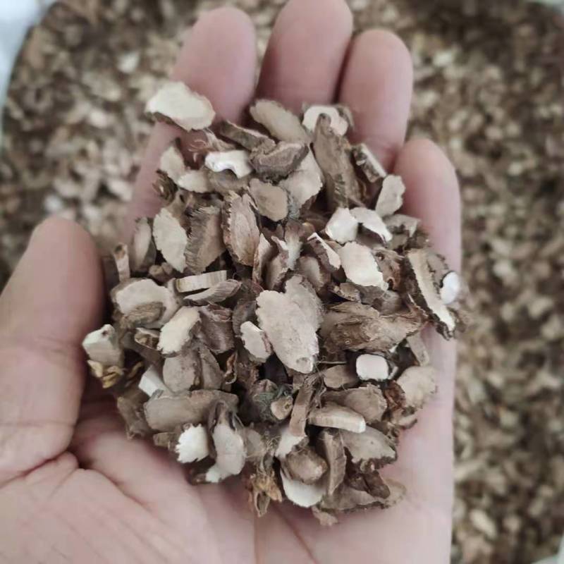 水菖蒲支持线上交易可搭配多品种采购大货联系