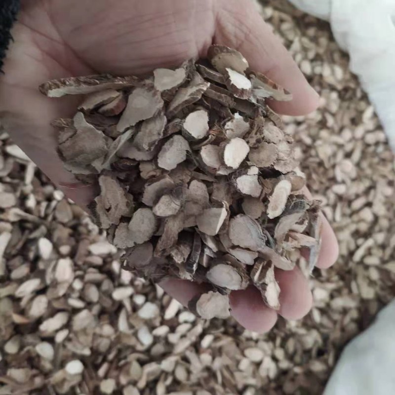 水菖蒲支持线上交易可搭配多品种采购大货联系