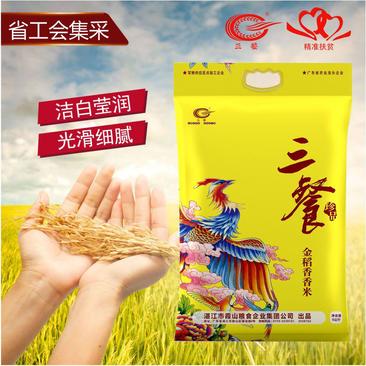 广东湛江三餐珍品金稻香米5kg品质保障欢迎选购