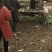 玉田县大安镇丁家街北京新三号井水灌溉好白菜，诚信合作