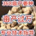 重庆【368高产王姜种】产地直销。专业技术指导。亩产过万