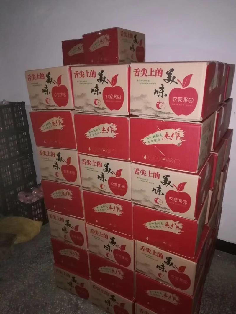 山西运城临猗县冰糖心红富士苹果一件代发包邮产地销售