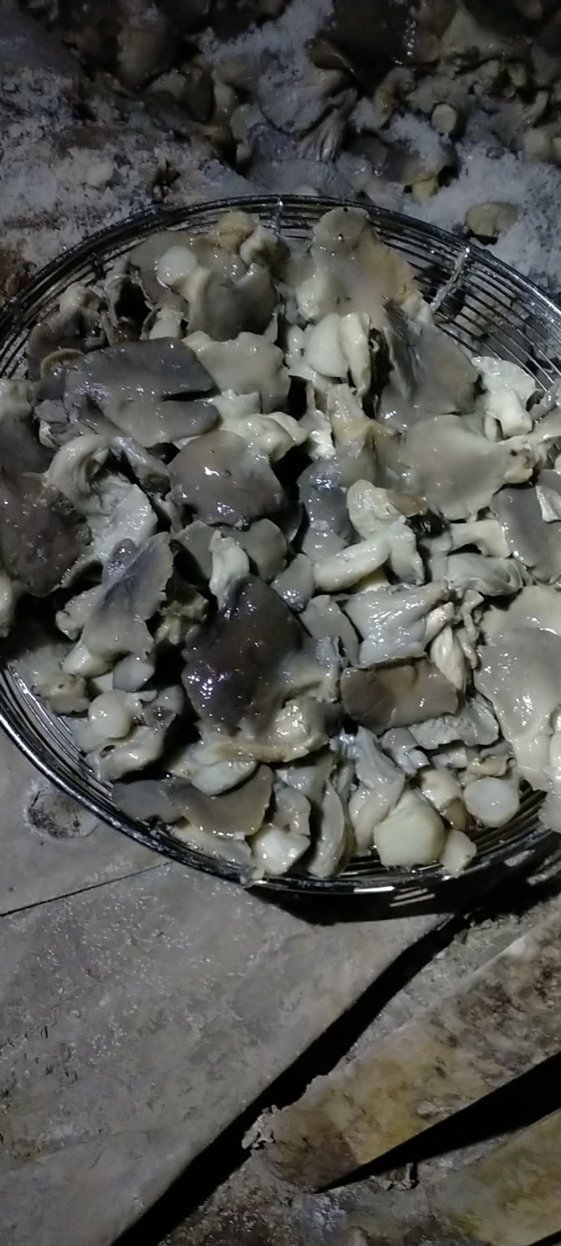 平菇基地大量出售盐渍平菇
