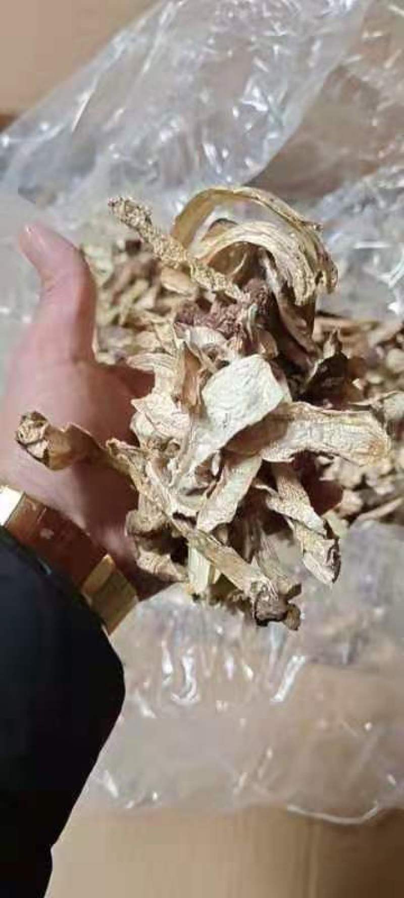 大球盖菇干品年关甩卖