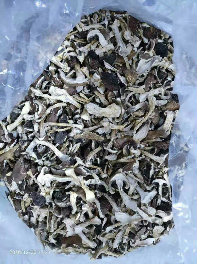 大球盖菇干品年关甩卖