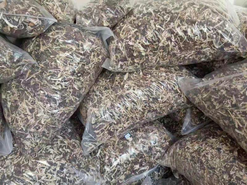 大球盖菇干品年关甩卖