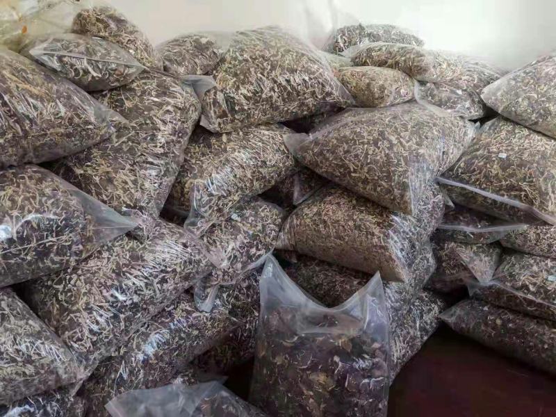 大球盖菇干品年关甩卖