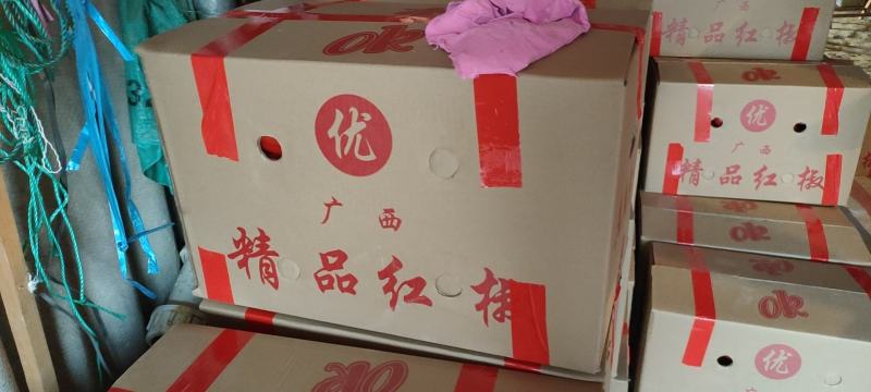 红椒有货，小5万斤预购从速