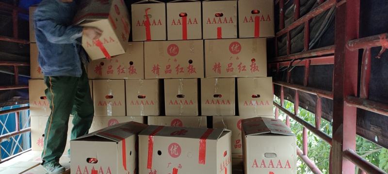 红椒有货，小5万斤预购从速