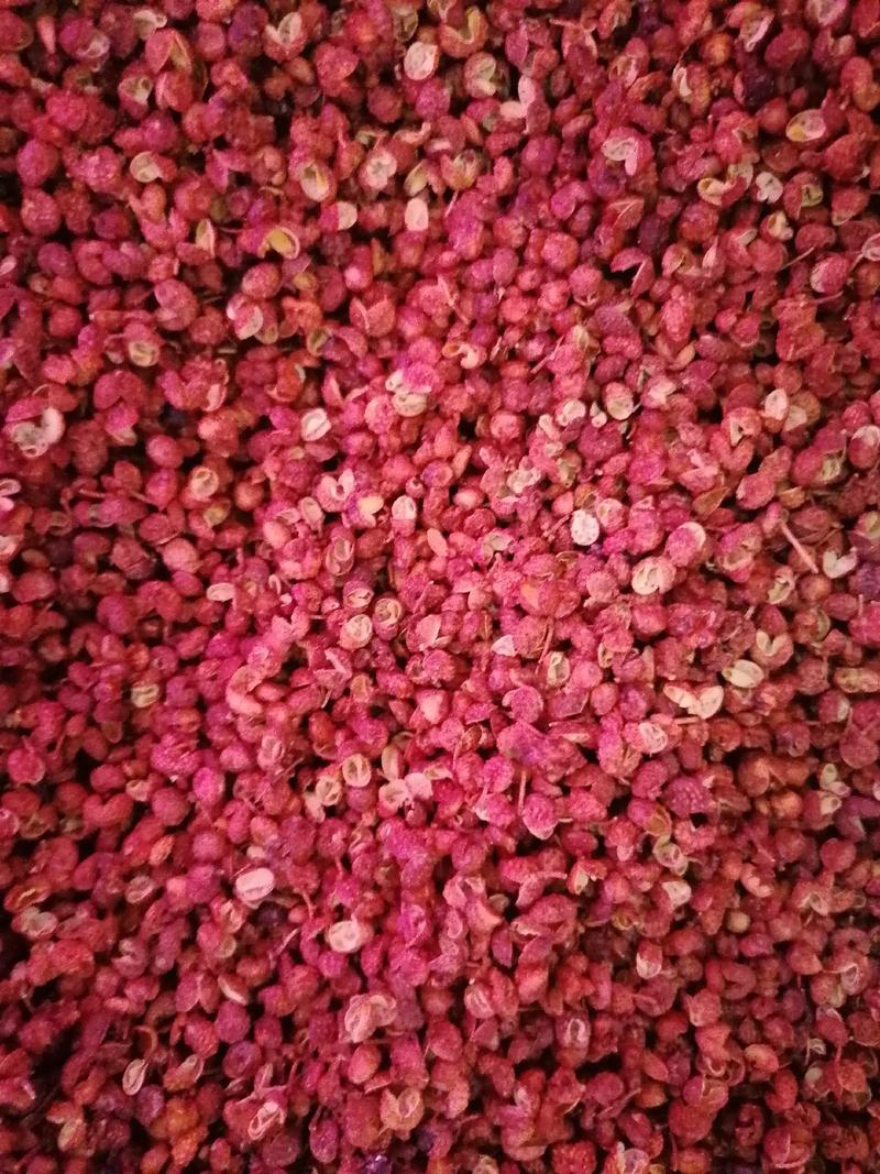 今年的新货，大红袍花椒，够红够麻够净够新鲜的