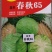 甘蓝种子（科丰四号）薄皮甘蓝种子莲花白种子