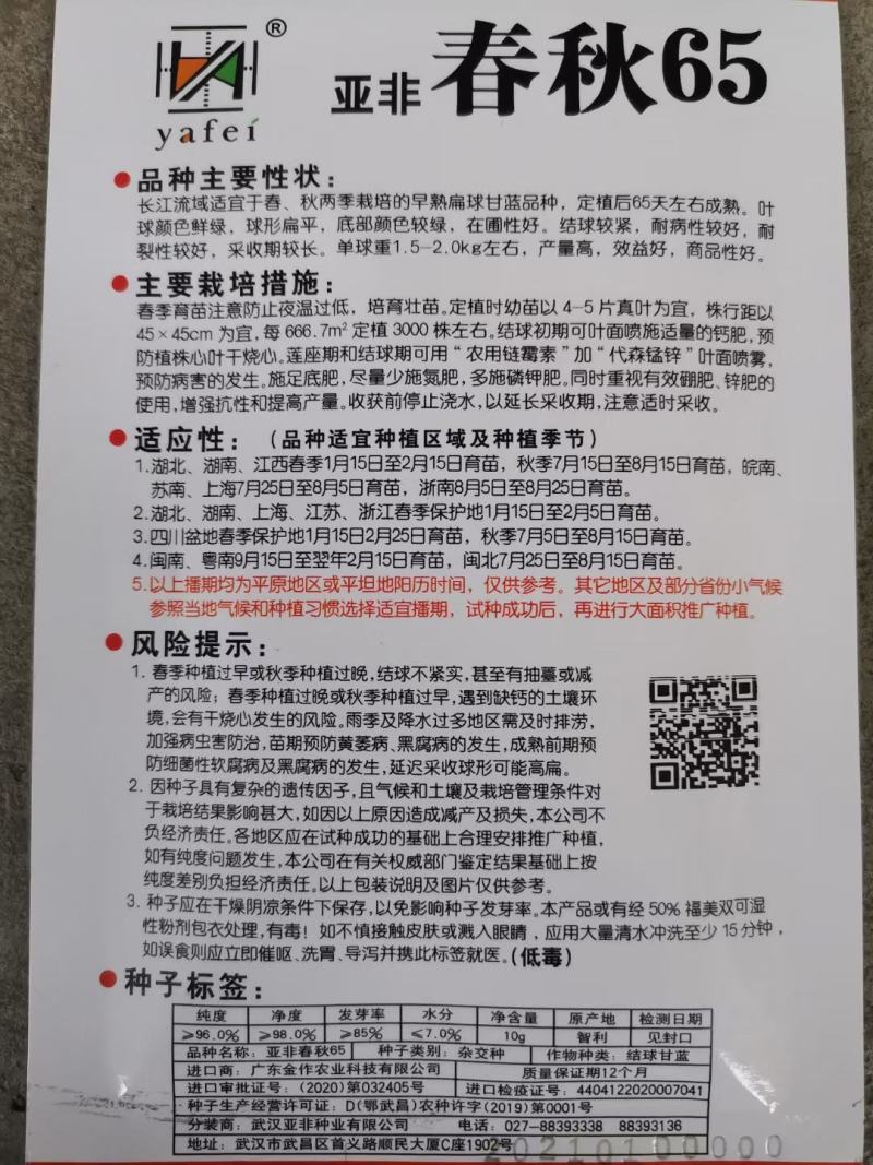 甘蓝种子（科丰四号）薄皮甘蓝种子莲花白种子