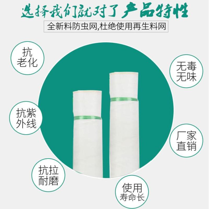 全新料抗老化大棚防虫网50目60目80目加密果树蔬菜网