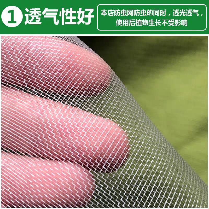 全新料抗老化大棚防虫网50目60目80目加密果树蔬菜网
