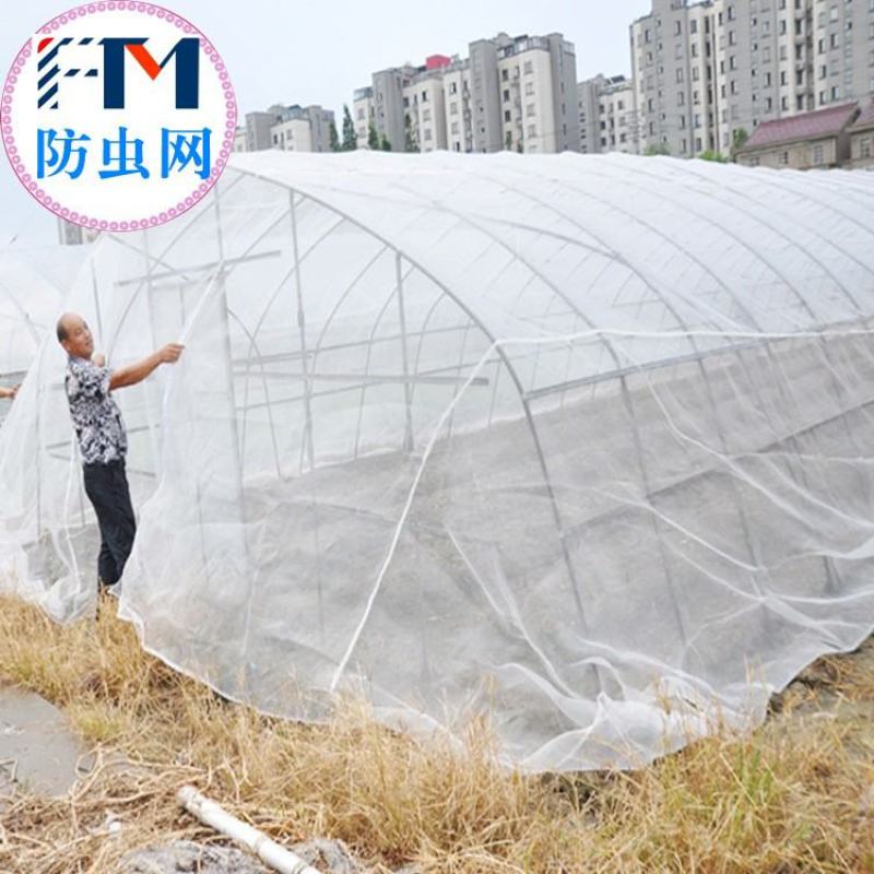 全新料抗老化大棚防虫网50目60目80目加密果树蔬菜网