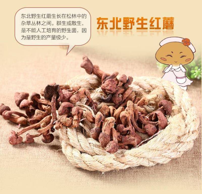 红蘑，铆钉菇，批发零售，货型多，需要的联系