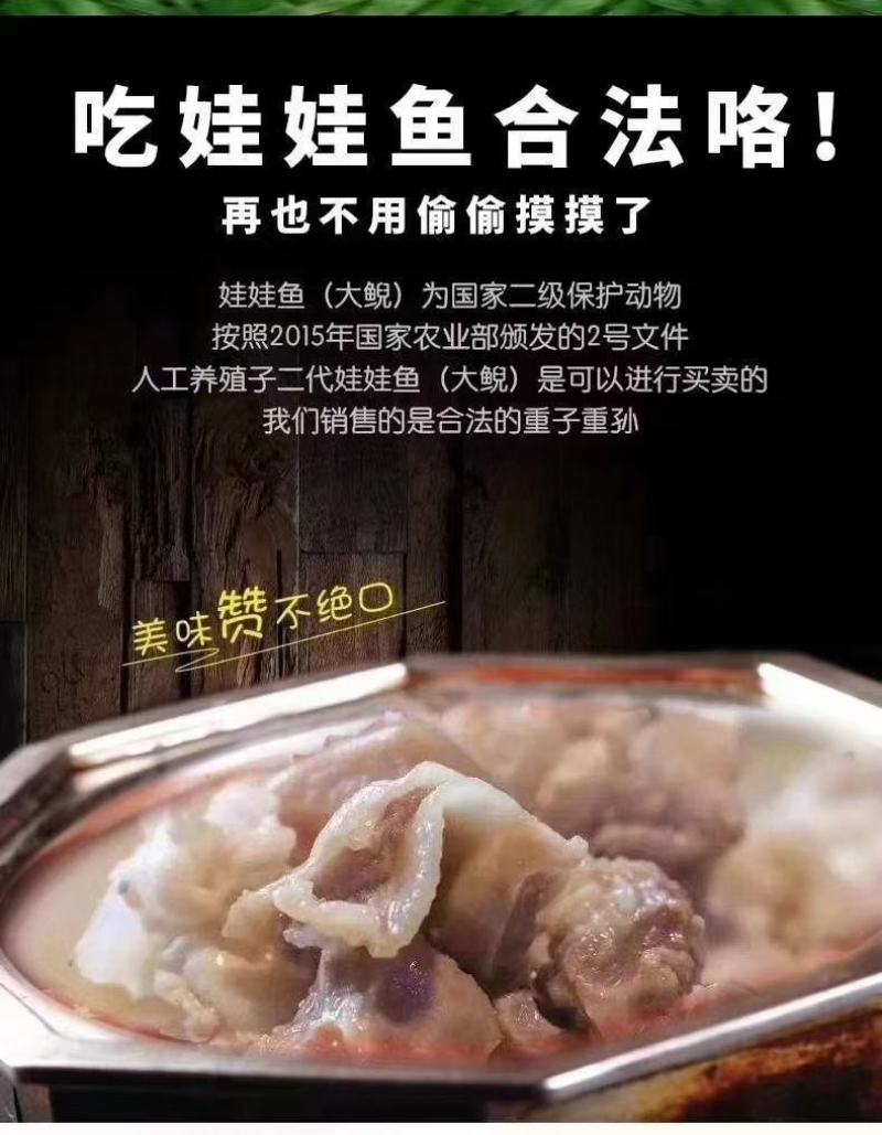 防生态大鲵产地直销娃娃鱼顺丰速运包邮包活