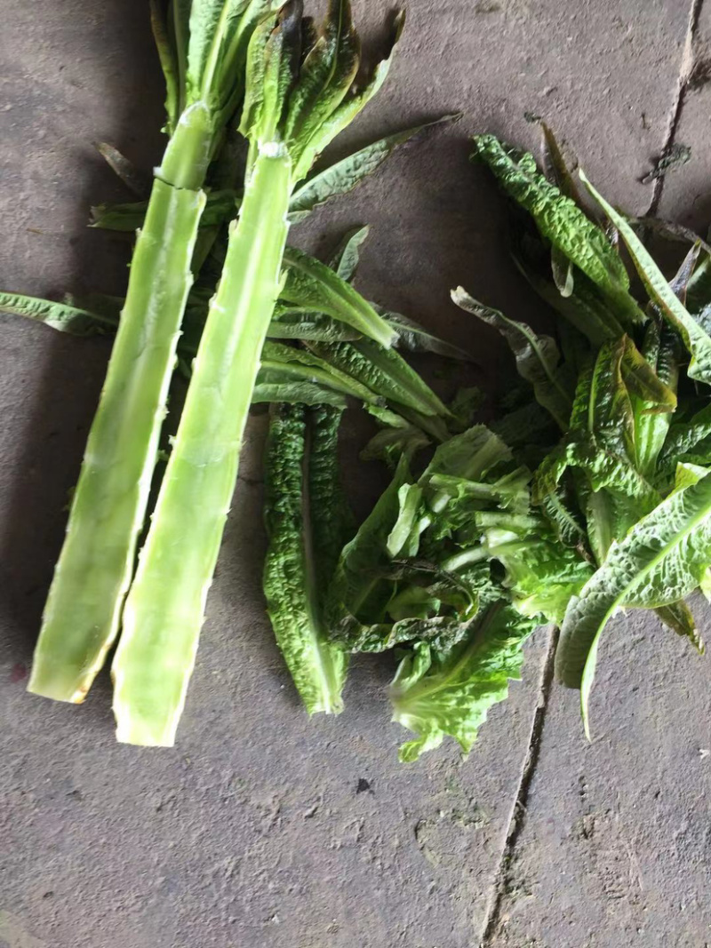 产地直发大棚红叶香莴笋根根，漂亮