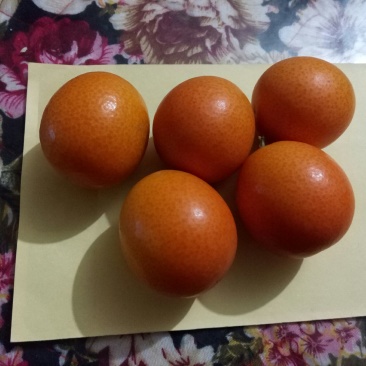 阳朔县金桔之乡恒彩专业合作社