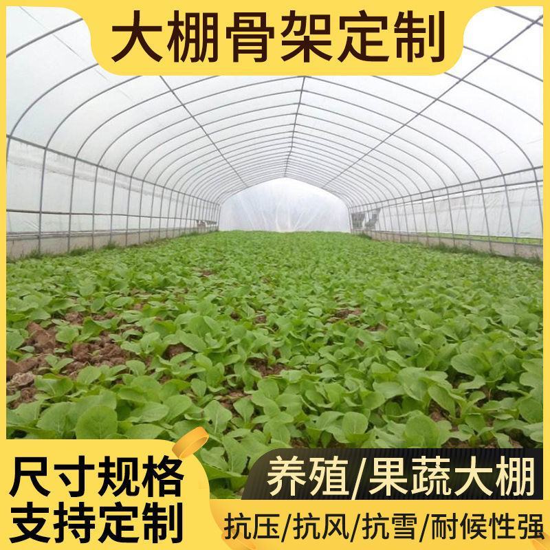常年生产养养大棚养牛棚养猪棚全国发货上门安装