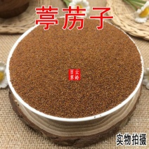 云南野生中药材葶苈子葶力种子停力子500g