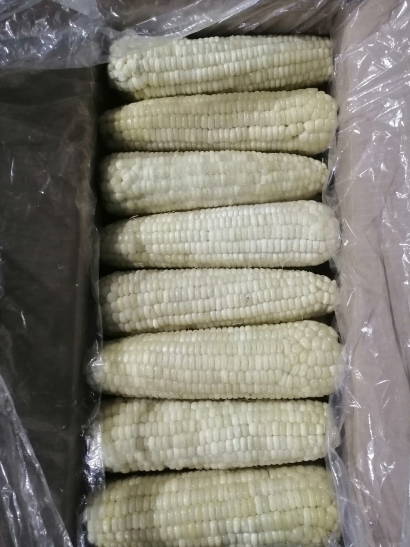 冷库口感香甜，储存新鲜，颗粒饱满，粘玉米