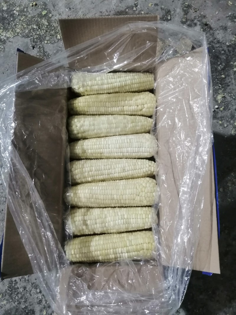冷库口感香甜，储存新鲜，颗粒饱满，粘玉米