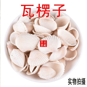 云南中药材瓦楞子煅瓦楞子瓦屋子瓦垄子蜡子壳50