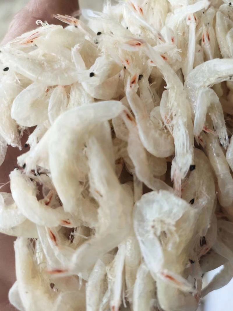 无盐虾皮，淡干虾皮，【山东虾皮】量大长期有货