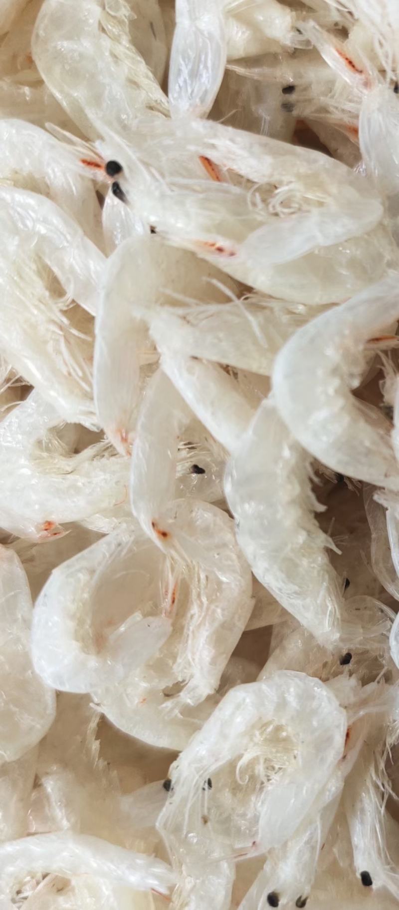 无盐虾皮，淡干虾皮，【山东虾皮】量大长期有货