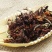 干玉兰花干花肾兰花茶特级白玉兰花茶广西横县特产