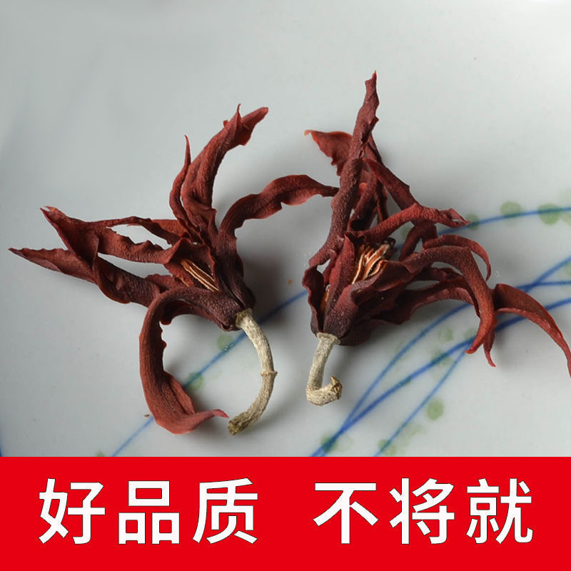 干玉兰花干花肾兰花茶特级白玉兰花茶广西横县特产