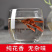 干玉兰花干花肾兰花茶特级白玉兰花茶广西横县特产