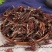 干玉兰花干花肾兰花茶特级白玉兰花茶广西横县特产