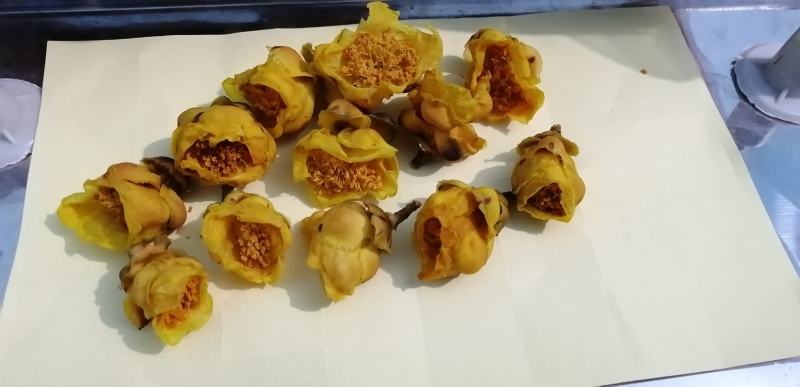 防普金花茶烘干花。防城港产地自销。150元一斤，2斤起走