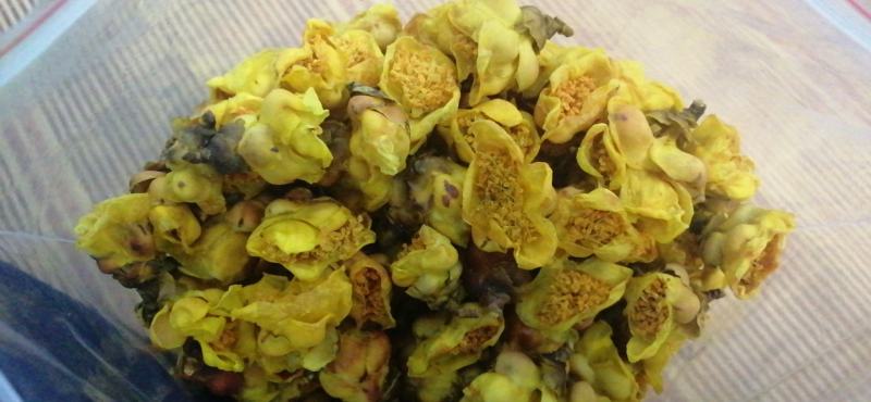 防普金花茶烘干花。防城港产地自销。150元一斤，2斤起走