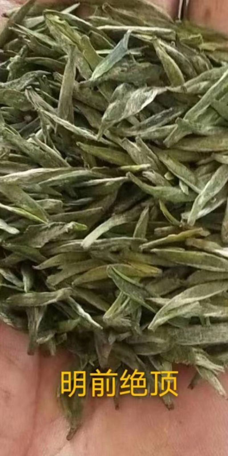 高山绿茶叶野兰香，，，，