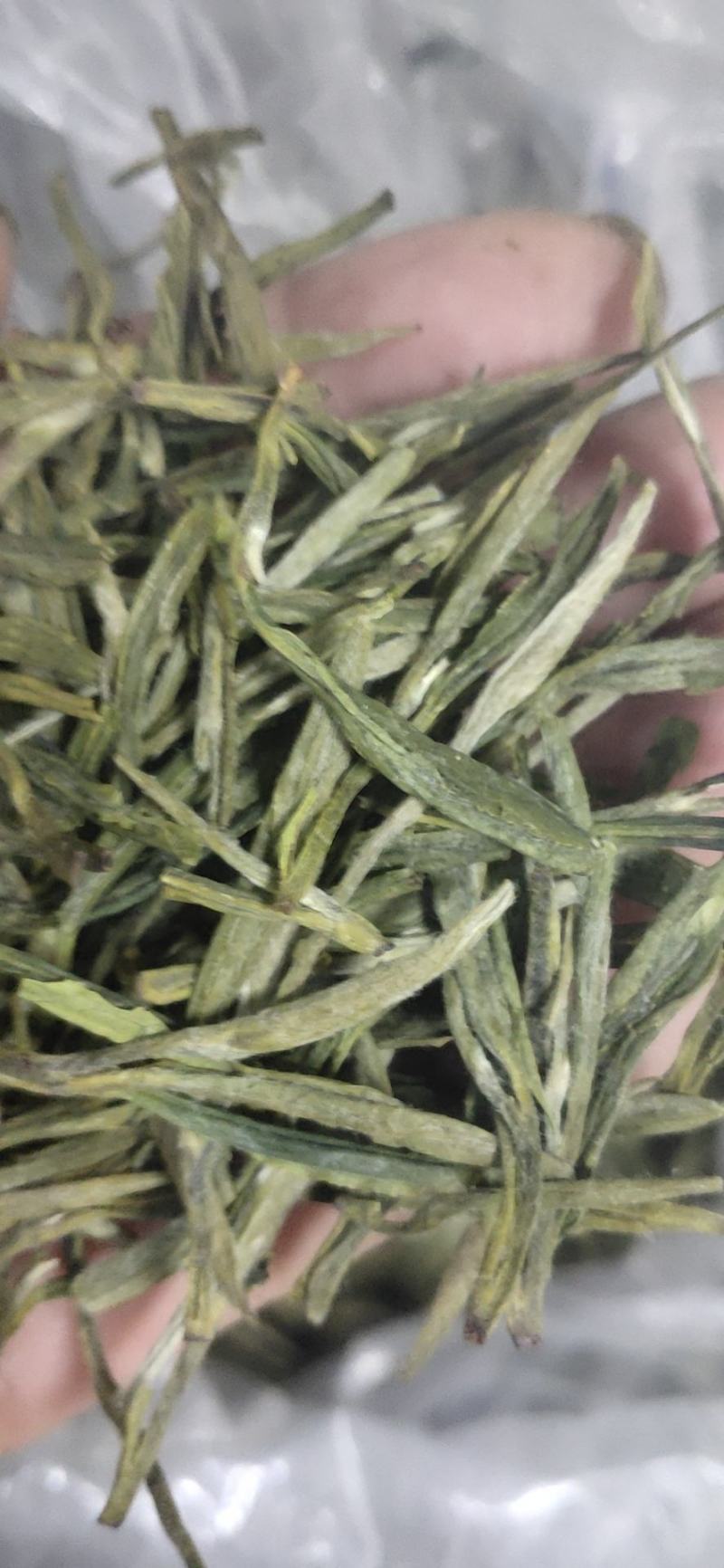 高山绿茶叶野兰香，，，，