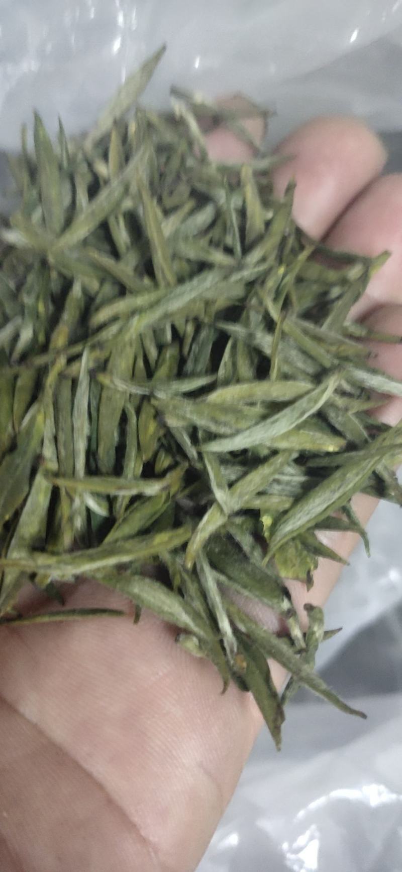 高山绿茶叶野兰香，，，，
