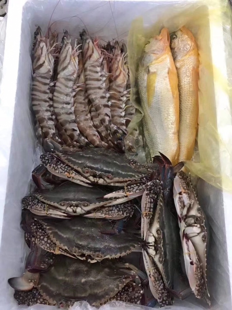 浙江一手海鲜大礼包出售