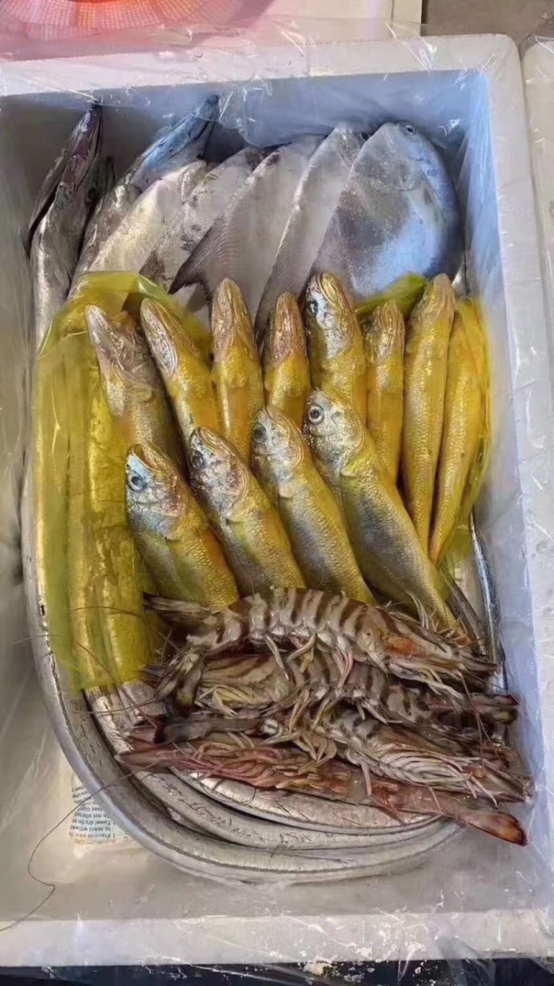浙江一手海鲜大礼包出售