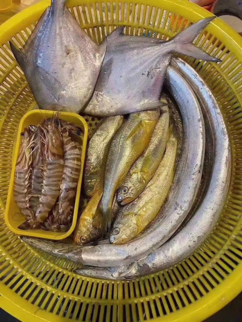 浙江一手海鲜大礼包出售