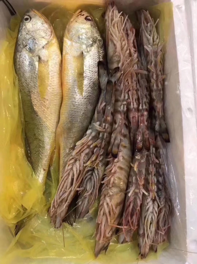 浙江一手海鲜大礼包出售