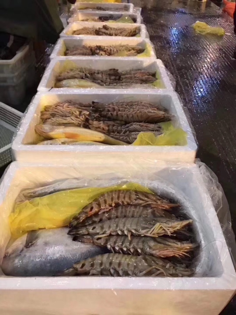 浙江一手海鲜大礼包出售