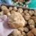 东北猴头菇食用菌干货8到10公分有机东北蘑菇