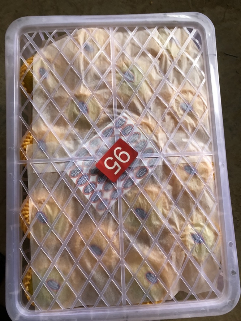 柑桔，甜心柚，水份足，不干水，口感存甜