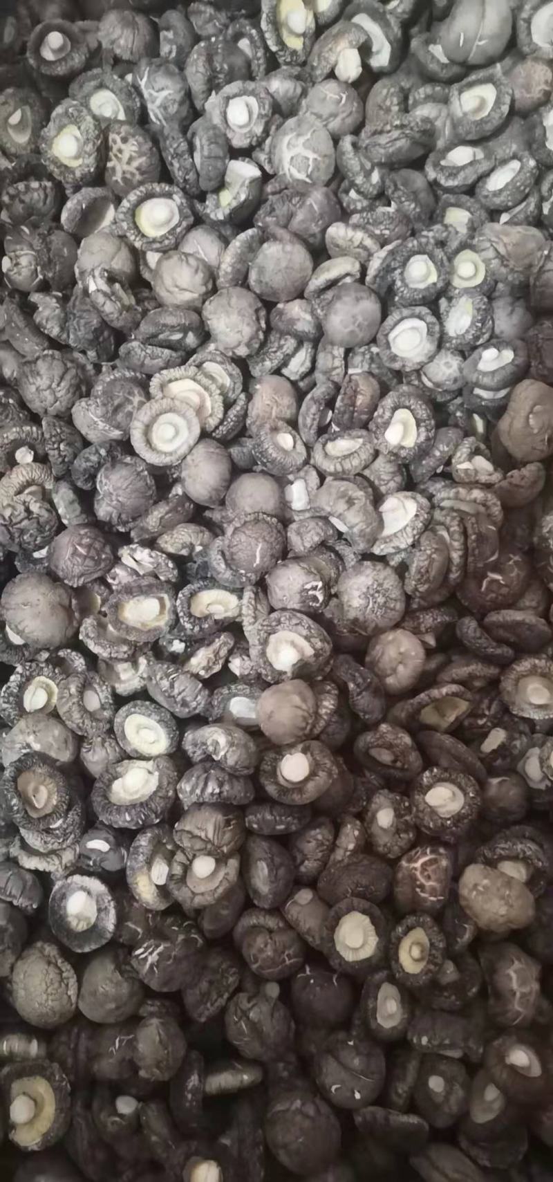 【免费包邮】精品香菇干货，一手货源肉厚色香味浓