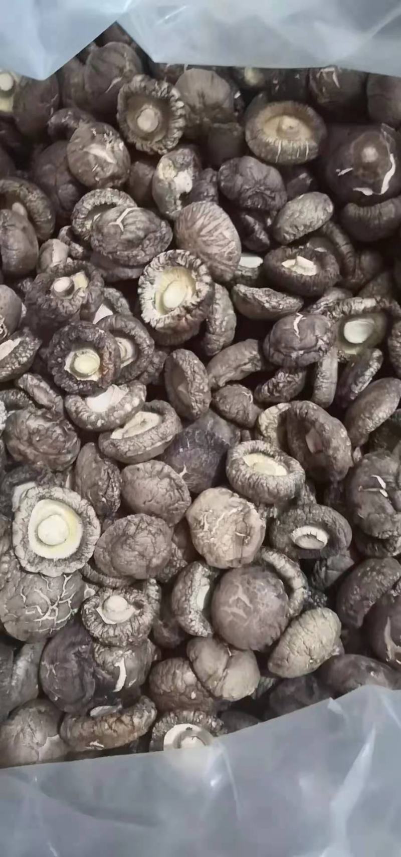 【免费包邮】精品香菇干货，一手货源肉厚色香味浓