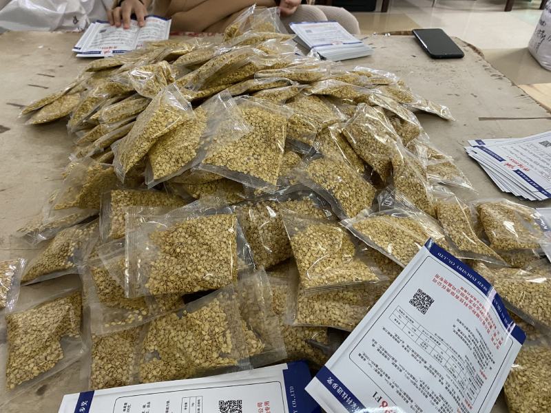 川椒种业四川辣椒种子新尖椒1号薄皮